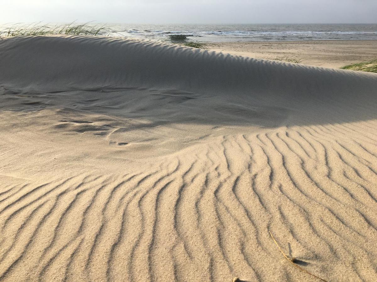 Fijne Studio Aan Zee Callantsoog Kültér fotó