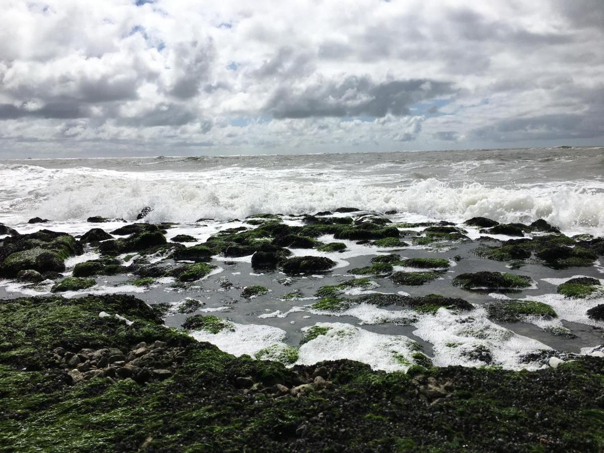 Fijne Studio Aan Zee Callantsoog Kültér fotó
